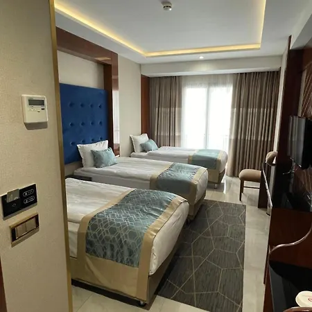 Hotel Palerıa 4*